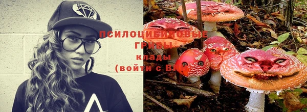 прущие крисы Арсеньев