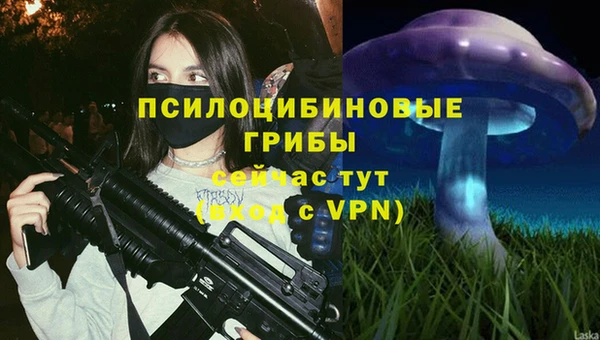 ECSTASY Аркадак