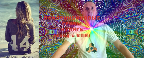 apvp Алзамай