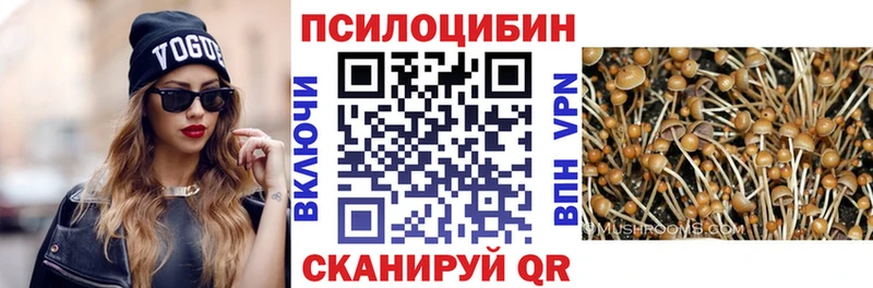 закладки  Бронницы  Псилоцибиновые грибы Magic Shrooms 